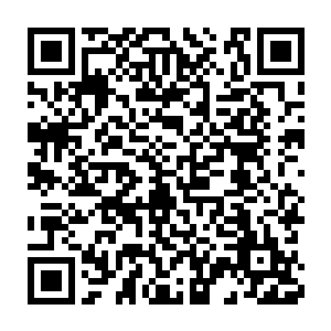 陆为民注意到了关恒脸上的混杂着震撼和嫉妒的一抹神色一掠而过二维码生成