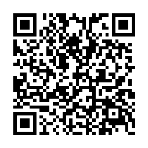 陆为民的确没有提及过自己和齐元俊的具体安排二维码生成