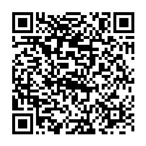 陆为民第一次发现自己在宋州居然还真的只有老老实实抱着枕头入眠了二维码生成
