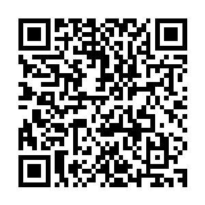 陆为民终于得偿所愿的将那对坚挺饱满的肉丘牢牢的把握在手中二维码生成