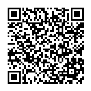 陆为民还真不知道蔡云涛还兼着县里招商引资领导小组办公会主任这一职务二维码生成