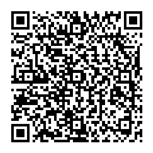 陆为民那个时候就知道中吉两国签订建立军事基地的协议已经只剩下具体技术性的细节问题了二维码生成