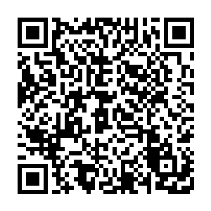 陆禹携着阿竹和胖儿子一起去仁寿宫和慈宁宫给太上皇和皇太后请安拜年二维码生成