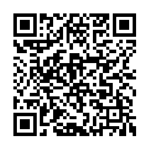 陈世东很没形象地已经绕着上仙宫转悠了好几天二维码生成