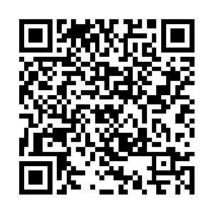 陈凌有很长一段时间试图把这股力量完全使用出来二维码生成