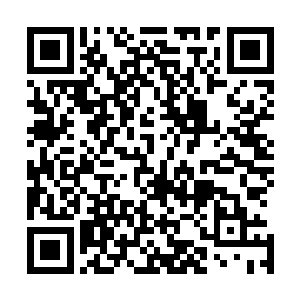 陈凌试图抓住初代魔神攻击的间隙对他进行更加强力的反击二维码生成