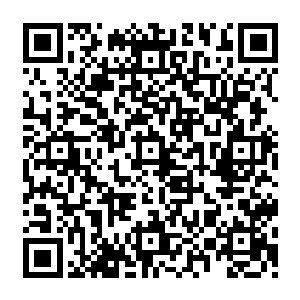 陈小练其实真的从内心深处不想再接近这个人了……毕竟自己的立场和玩家是天然对立的二维码生成