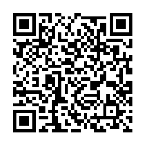 陈小练和罗迪互相看了一眼――看来是找到目标了二维码生成