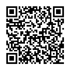 陈小练回忆着自己看过的那些描写欧洲古代的电影里的样子二维码生成