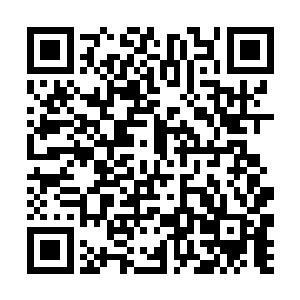 陈小练开始讲述起在布朗古堡的副本中经历的一切来二维码生成