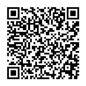 陈小练感觉到全身的皮肤都像是在被无数密密麻麻的万针攒刺一般二维码生成