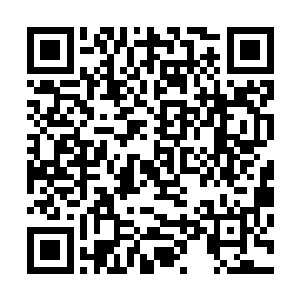 陈小练甚至能感觉到自己的衣服在两边的金属门上擦了过去二维码生成