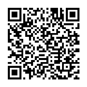 陈小练绝不会因为对方表面上流露出的态度就对某个人彻底信任二维码生成