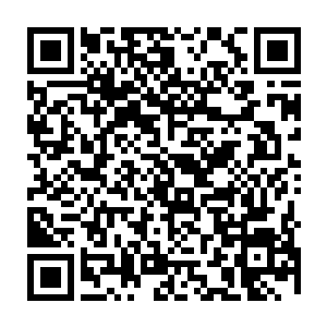 陈文帝手下的白发少年左冷飞也凭借着陈文帝给他的黄阶上品灵器成功的晋级二维码生成