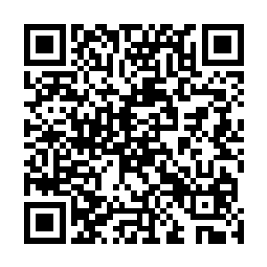 陈欣仔细回顾了一下所有的实验再次确定没有任何问题后二维码生成