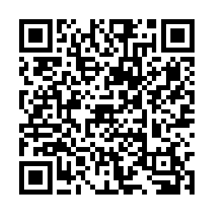 陈欣将苏雨果放在一个完全和外界隔绝的医疗舱内二维码生成