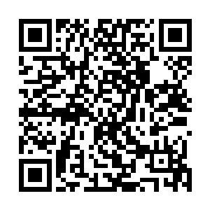陈氏便只能从谢家某个旁支里过继了一个父母俱亡的孤儿二维码生成