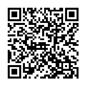 陈红今天的这身打扮跟她在返乡客车上的穿着一模一样二维码生成