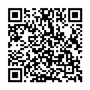 陈长生在离宫外的朝阳下第一次看到折袖的时候二维码生成
