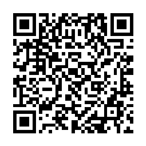 除了一些不被修真界放在眼里的世俗道观和寺庙之外二维码生成