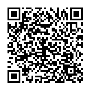 除了在承接了昌南中药材专业市场项目和几家相关产业项目建设外二维码生成