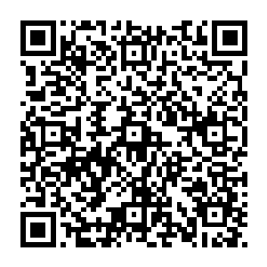 除了在铁血营的那一次是真的为了铁血营的那些兄弟把自己的命给豁出去当了一次白痴以外二维码生成