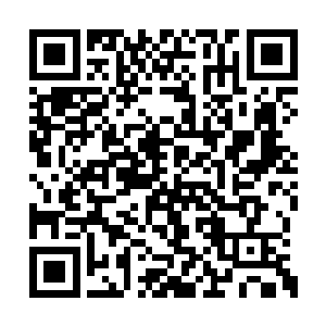 除了惊吓值到了一定的时间会被加满而强制断线二维码生成