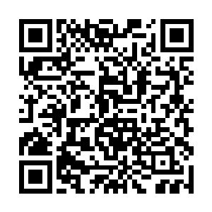 除了战斗机之外还设计了一款运输机和一款水上飞机二维码生成