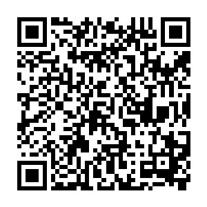 除了极少数精兵强将能在骷髅上镌刻各种提升灵活性和攻击力的符阵之外二维码生成