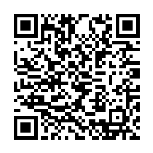 除了林凡和坐在旁边的卫生局办公室主任梁维之外二维码生成