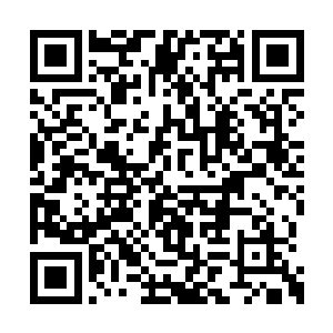 除了流墨墨之外已然完全被血色占满的视野说道二维码生成