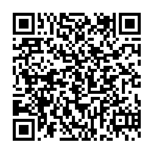 除了组长盛华知道封闭训练陈观的目的和将要派陈观去执行什么任务外二维码生成