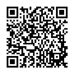 除非提升到二级王兽的级别才有可能与统领级剑气之灵抗衡一二二维码生成