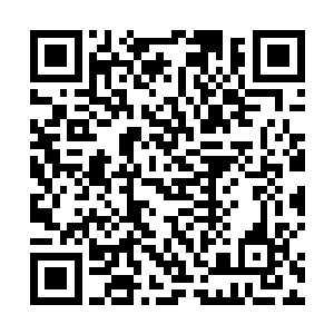 陪着教授做了一天的实验……唔……姐你现在还饿不了二维码生成