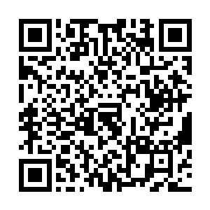 随之在他面前飘动着的一团繁杂的符文也跟着剧烈震动起来二维码生成