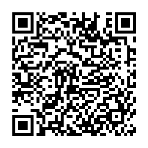 随便一个小年轻都能把他揍成象头……因为他这一张肥脸已经是猪头了二维码生成