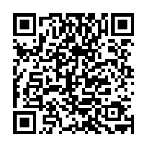 随便来个仙露期天仙估计就能直接把他们全数横扫杀戮过去二维码生成