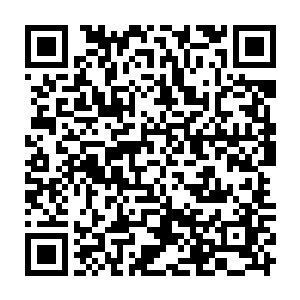 随即一头身披盔甲的巨大的如同小山一般的似蛇又像是龟的怪兽缓缓地爬了出来二维码生成