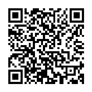 随即丁羽也是给两个小家伙详细的解释了一下种类上面的差别二维码生成