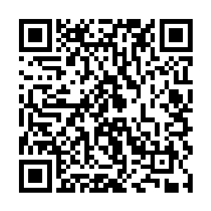 随即就毫不客气地用双手在伊莎贝拉的身上忙活起来二维码生成