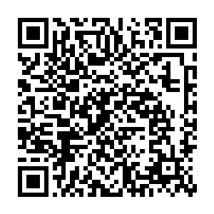 随后一道身影以一种无比恐怖的速度瞬间来到了杨戬等人的周围不远处二维码生成