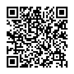 随后一道道璀璨的雷电光辉也从他们眼前的世界中不断闪耀二维码生成