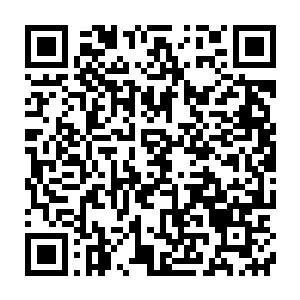 随后他们便感觉到一股股惊人的能量波动从这亚马逊祖星的四周浮现二维码生成