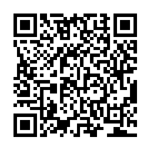 随后他就掏出了一包用草叶和兽皮双重裹紧的药粉交给原战二维码生成