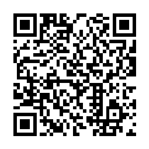 随后他身后的天罗血煞枪和藏在袖口之中的炼妖壶二维码生成