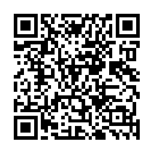 随后便是一阵凄惨的惨嚎声和令人心底发毛的骨裂的声音二维码生成