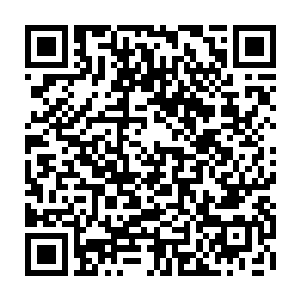 随后华佗精心配制的药丸蕴含的狂暴能量就开始与玉露丸的治疗展开了拉锯战二维码生成