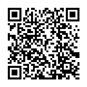 随后同样扮成布行伙计或是路人的王府护卫也从四周跟了上来二维码生成