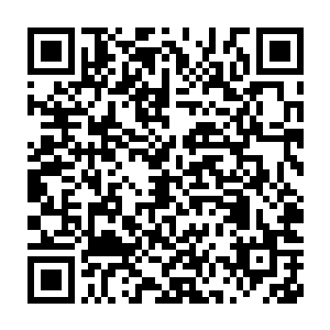 随后由五圣联合释放出第二层防御护罩同样将所有修士笼罩在里面二维码生成