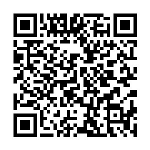 随后立马一个e推开了这个犹如一条疯狗一样的大树二维码生成